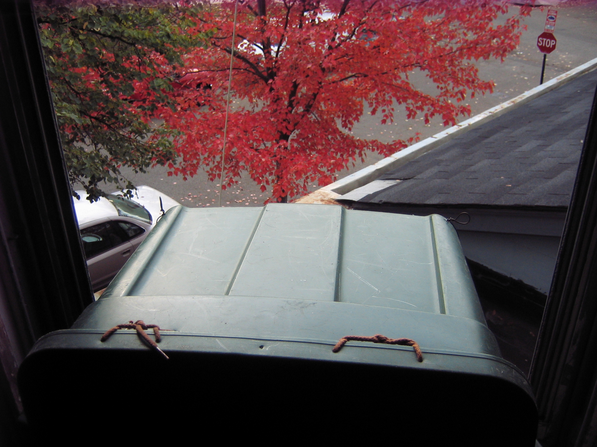 window icebox 016.jpg