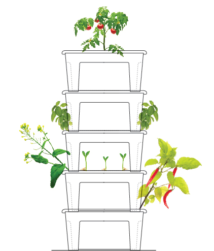 windowgarden_illustration.jpg