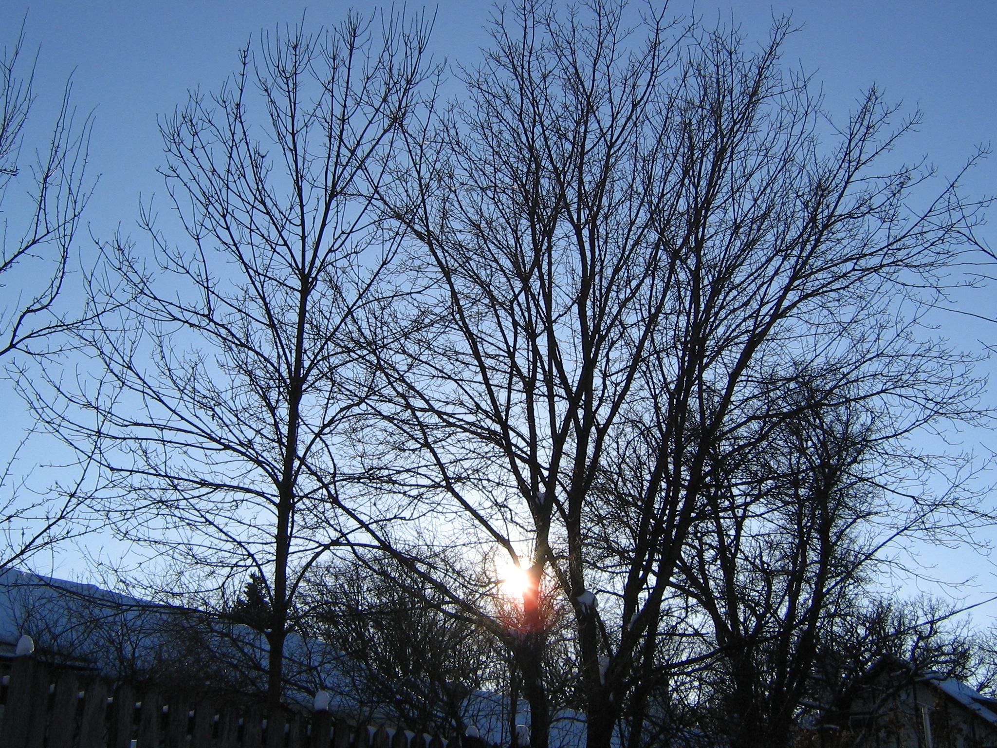 winter pics 07.JPG