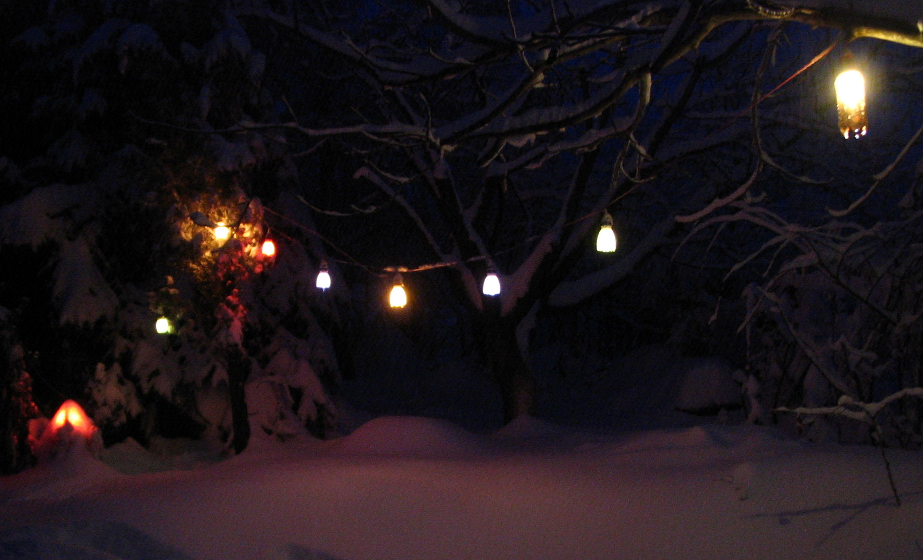 winter2012-12.jpg