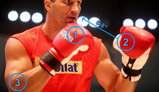 wladimir-klitschko-upper-body-stance.jpg