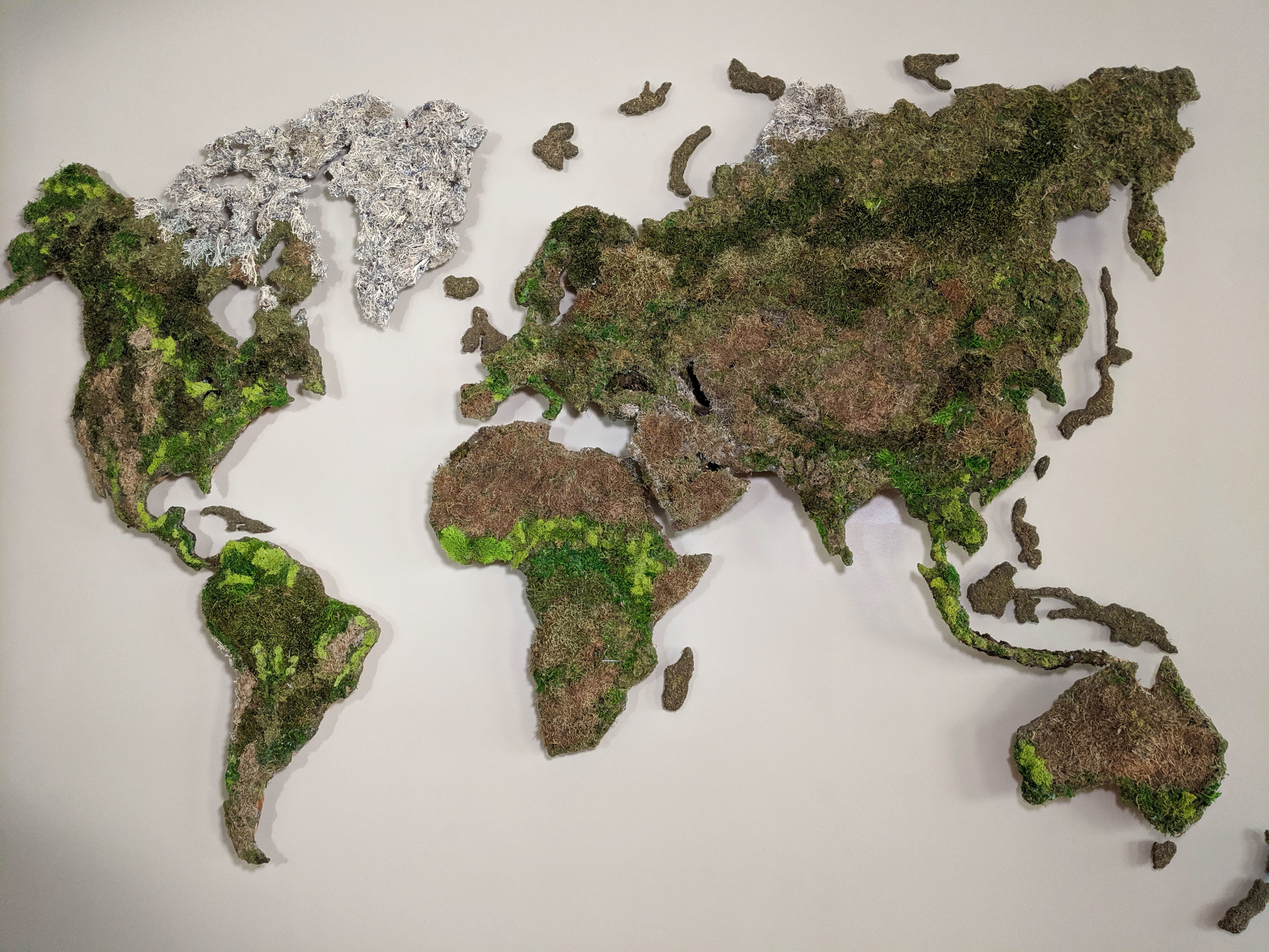 world-moss-map_001.jpg