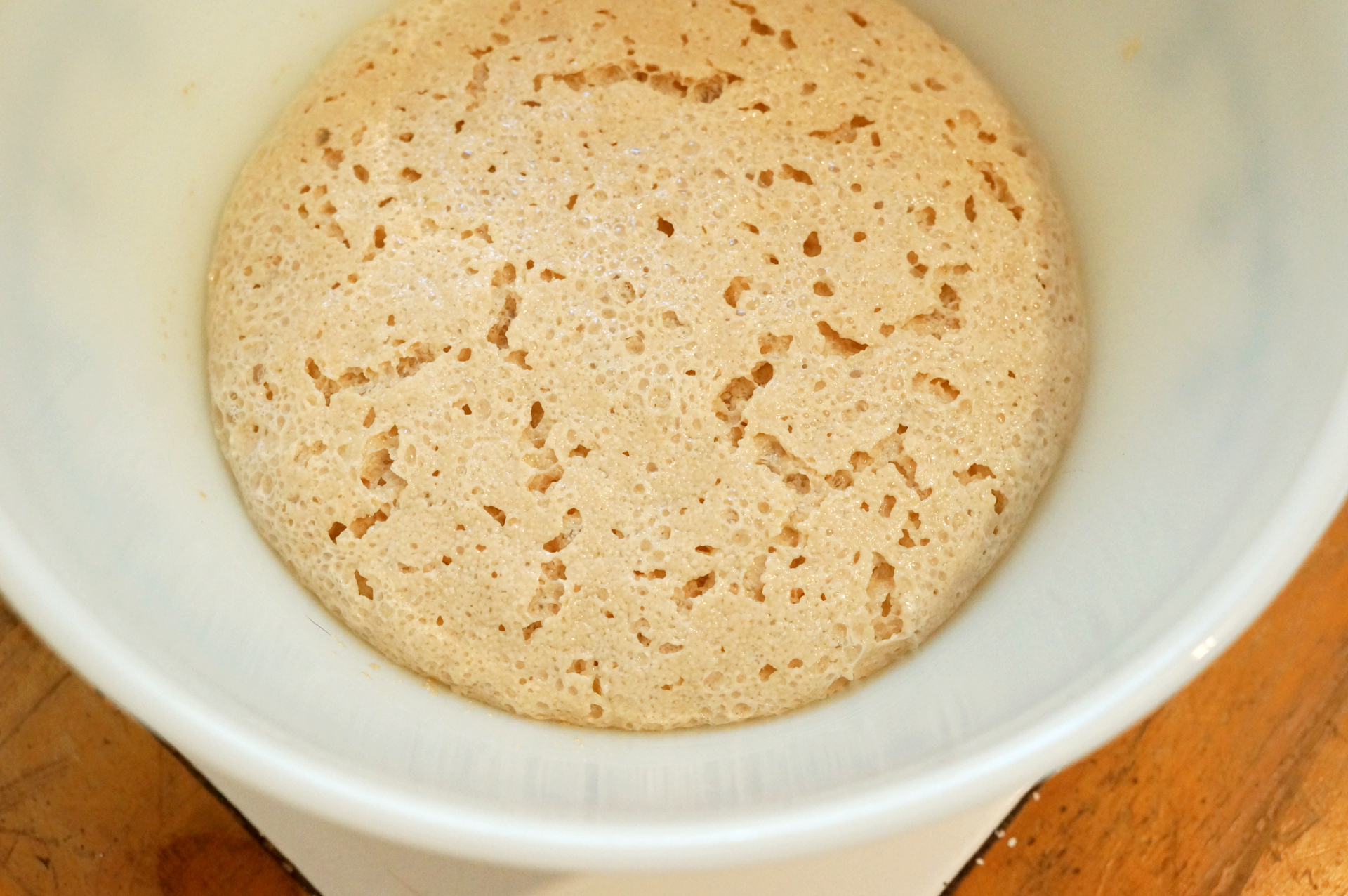 yeast (1).jpg