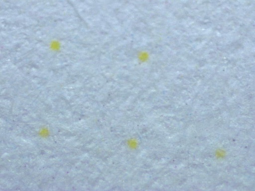 yellow-dots-on-paper.jpg