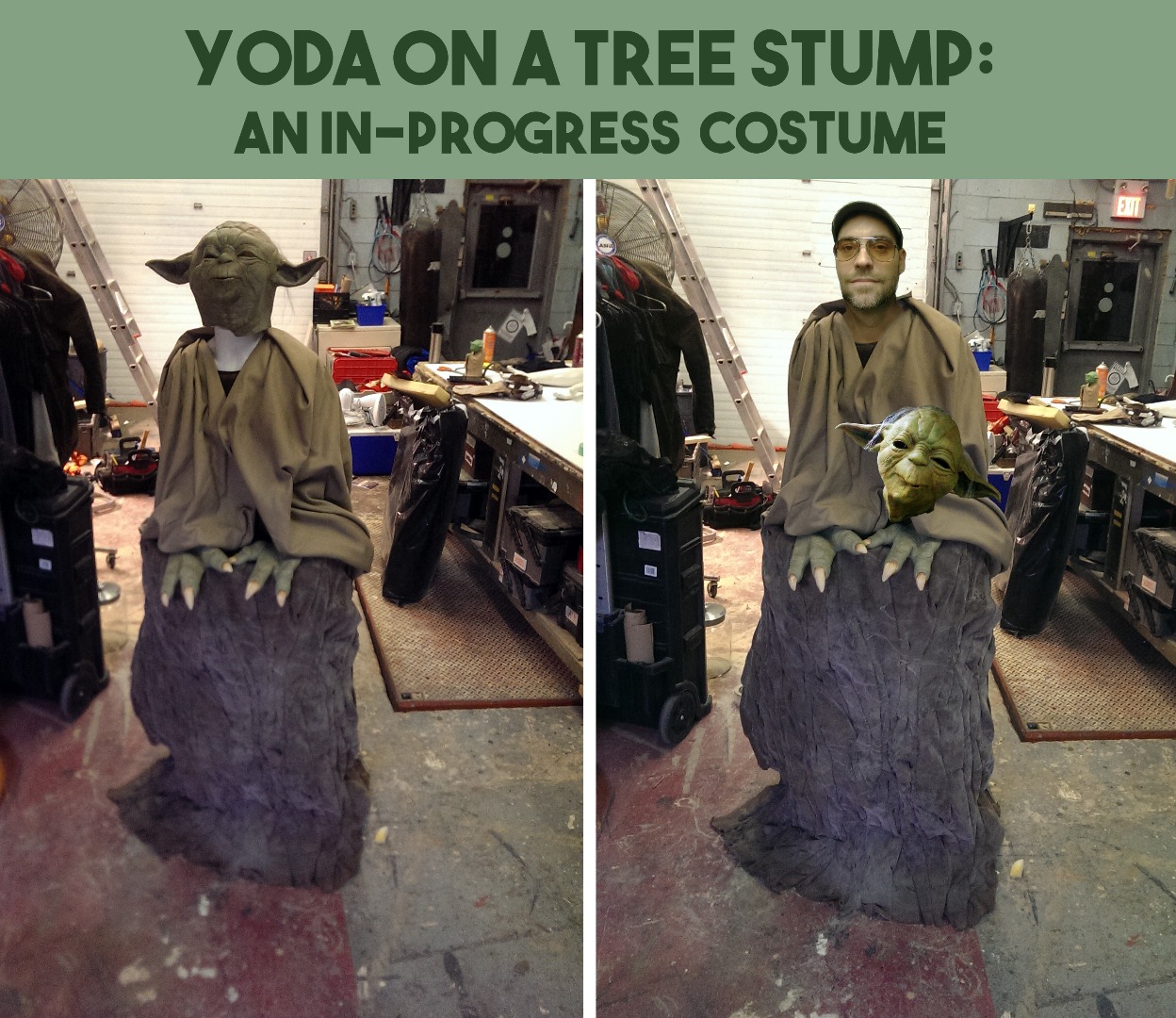 yoda header.jpg