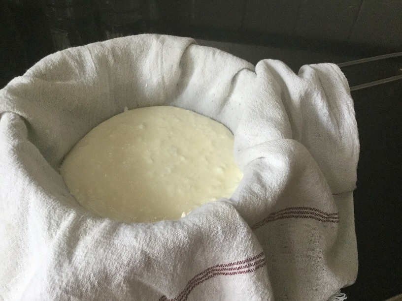 yogurt in cheese cloth.jpg