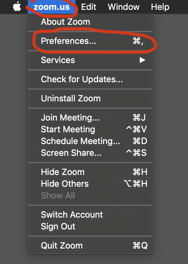 zoom preferences.png