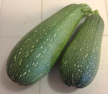 zucchini .jpg