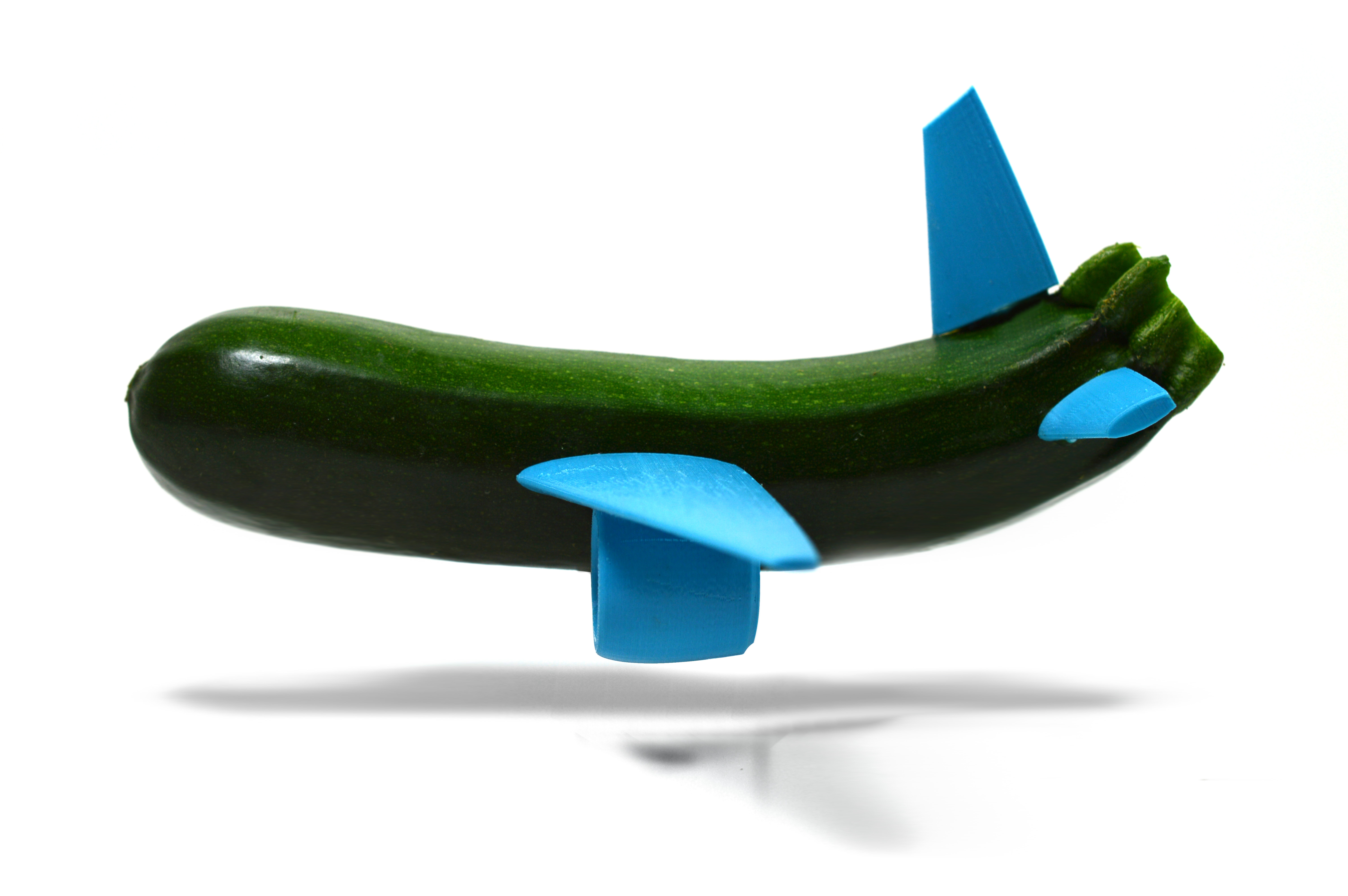 zuchini plane.jpg