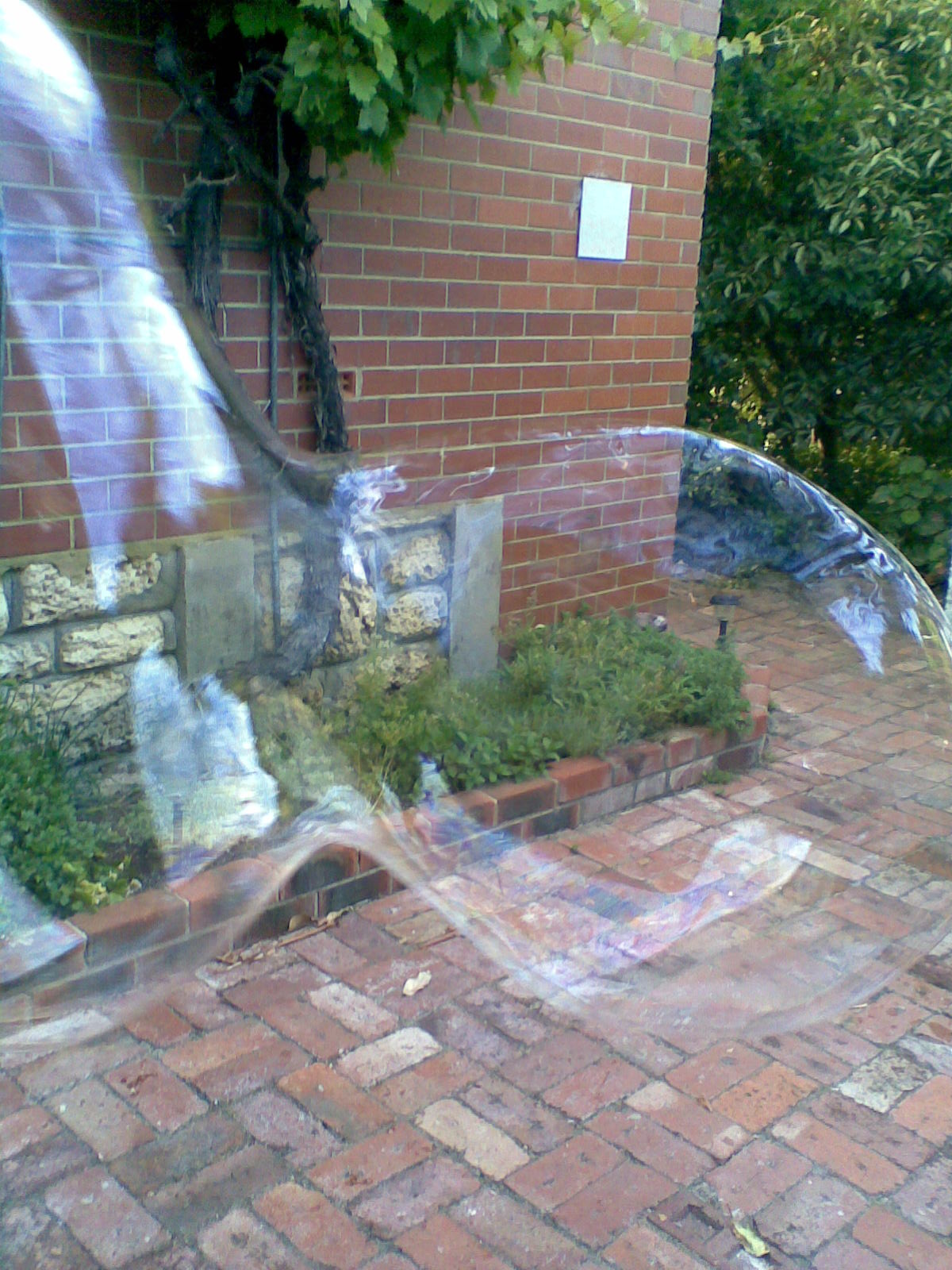 GIANT Bubble Blower