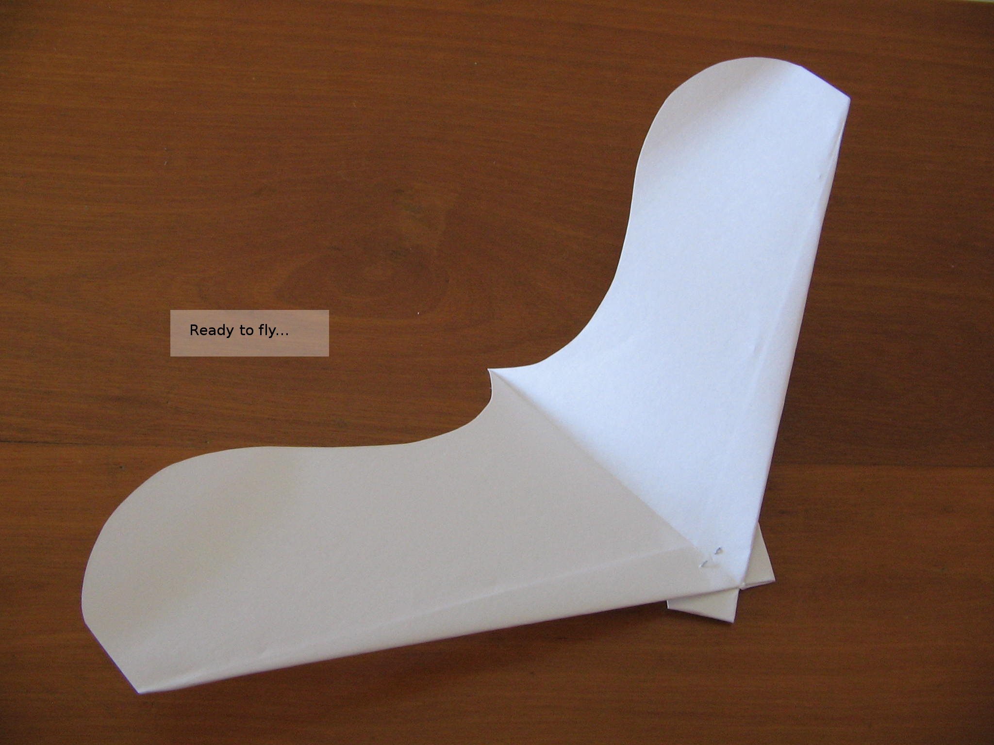 CanardWings - a Variation of Paperang, a Cool Paperplane/glider