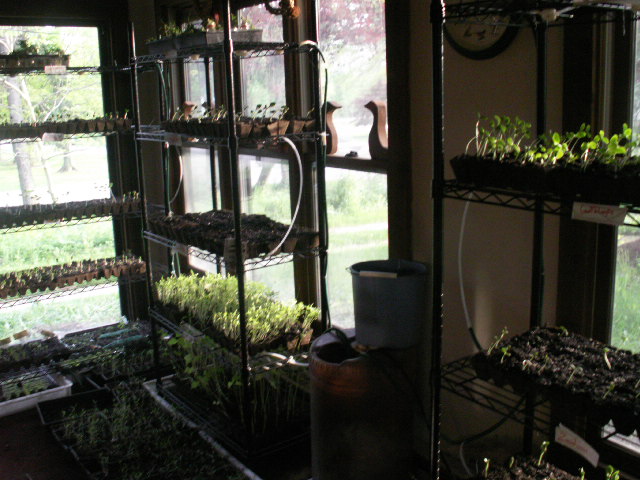 Auto Watering Plant Nursery 2.0