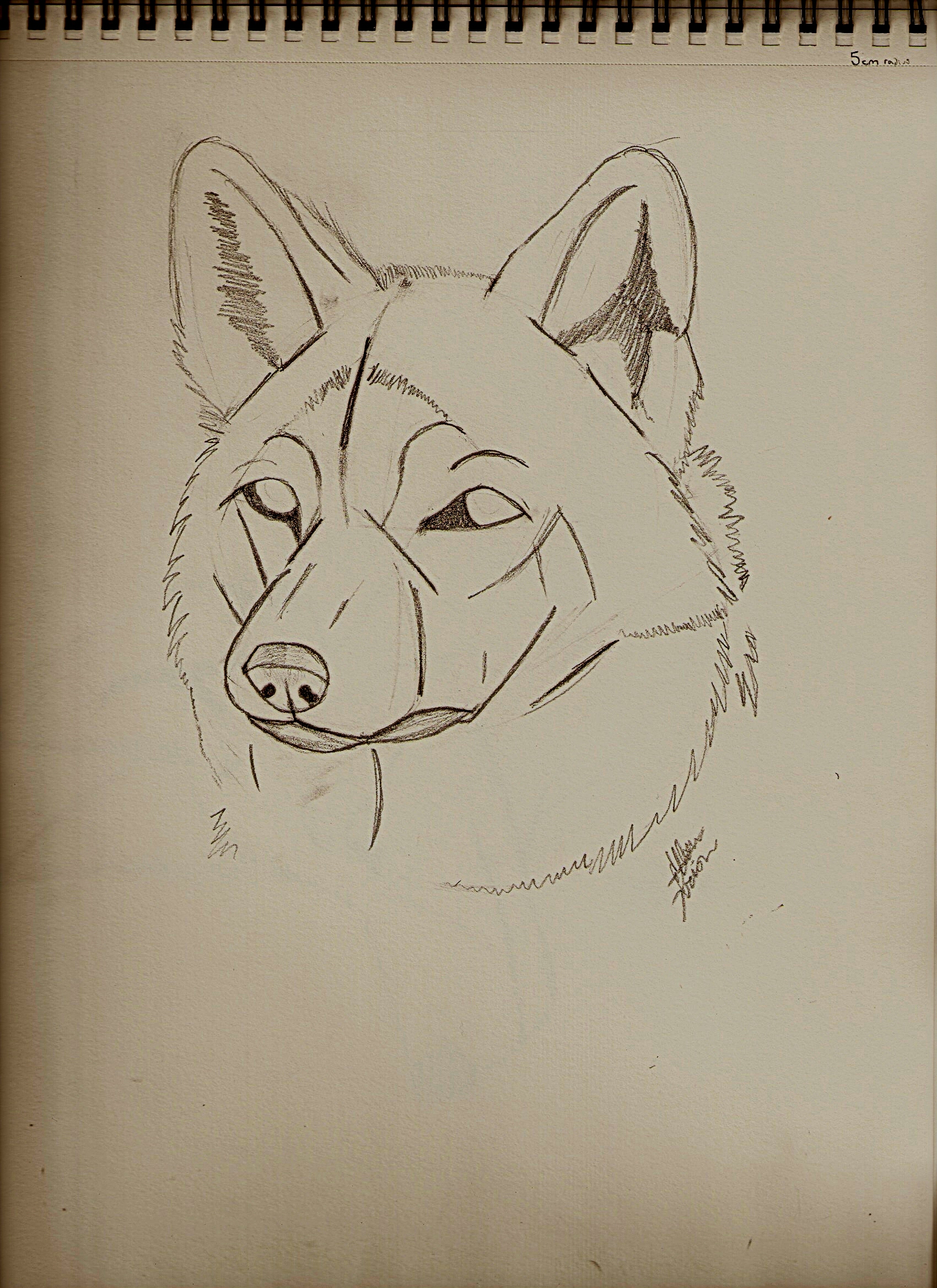 Guides to Drawing Wolves