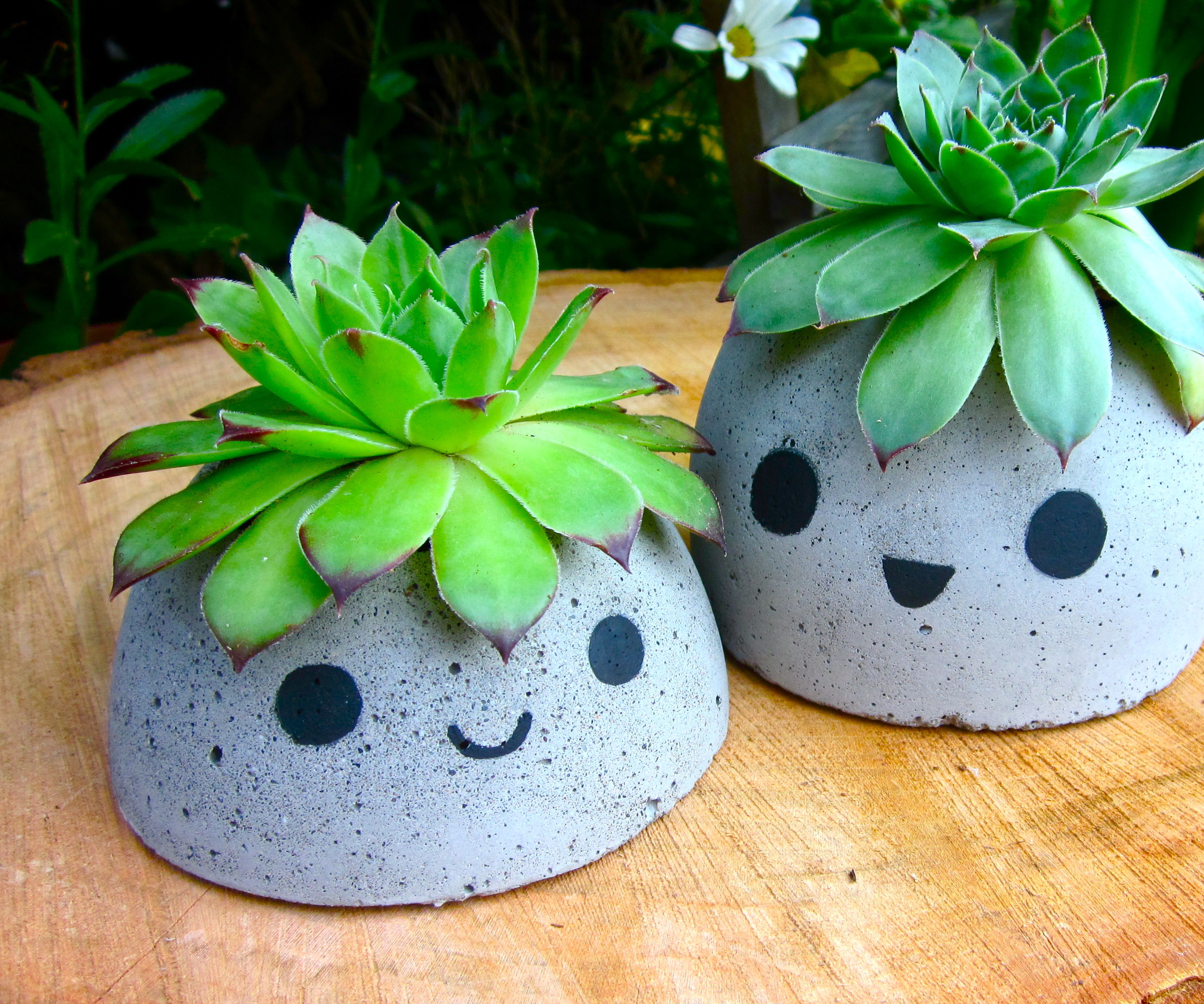 Cute Concrete Planter