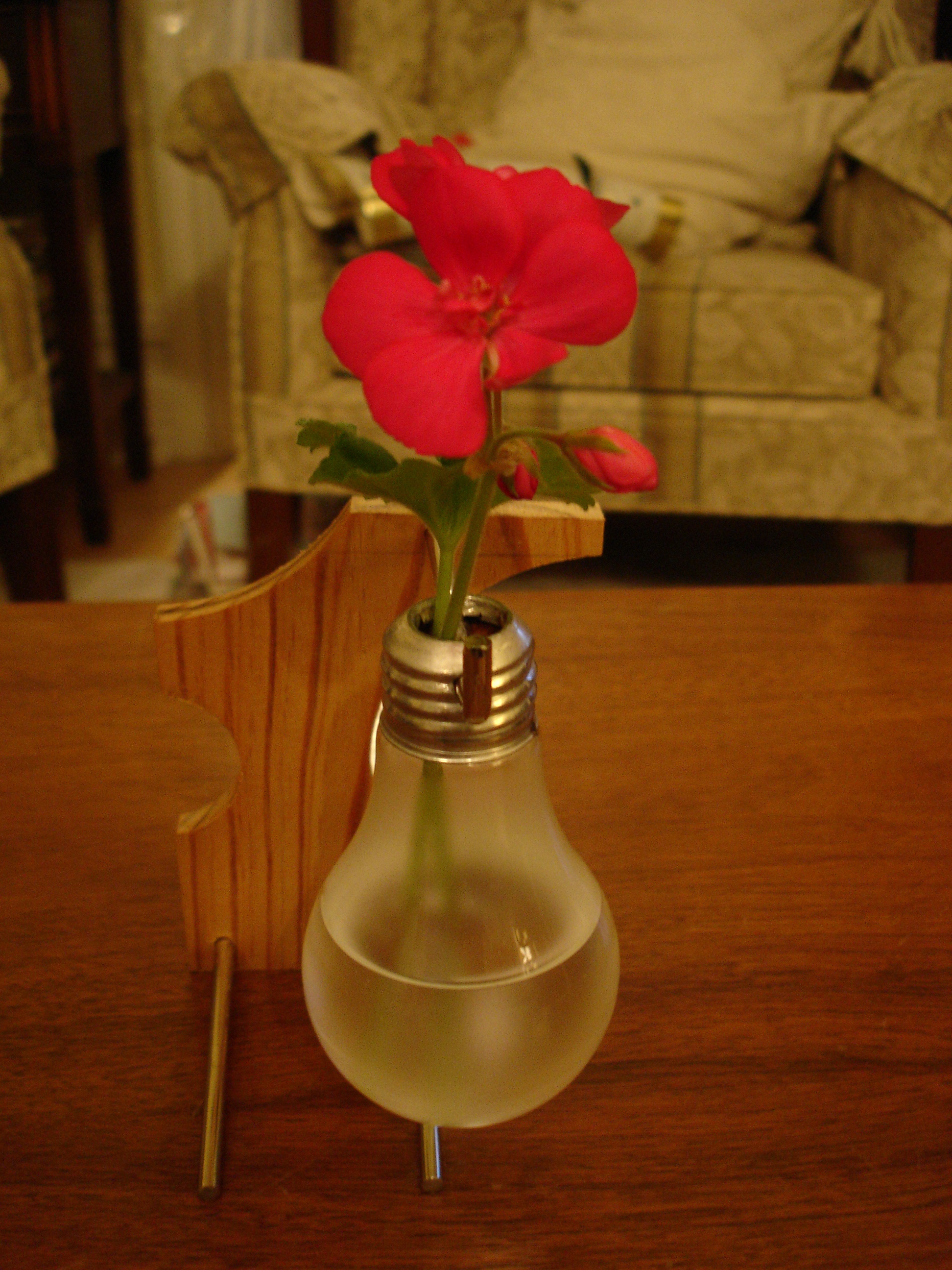 Light Bulb Vase