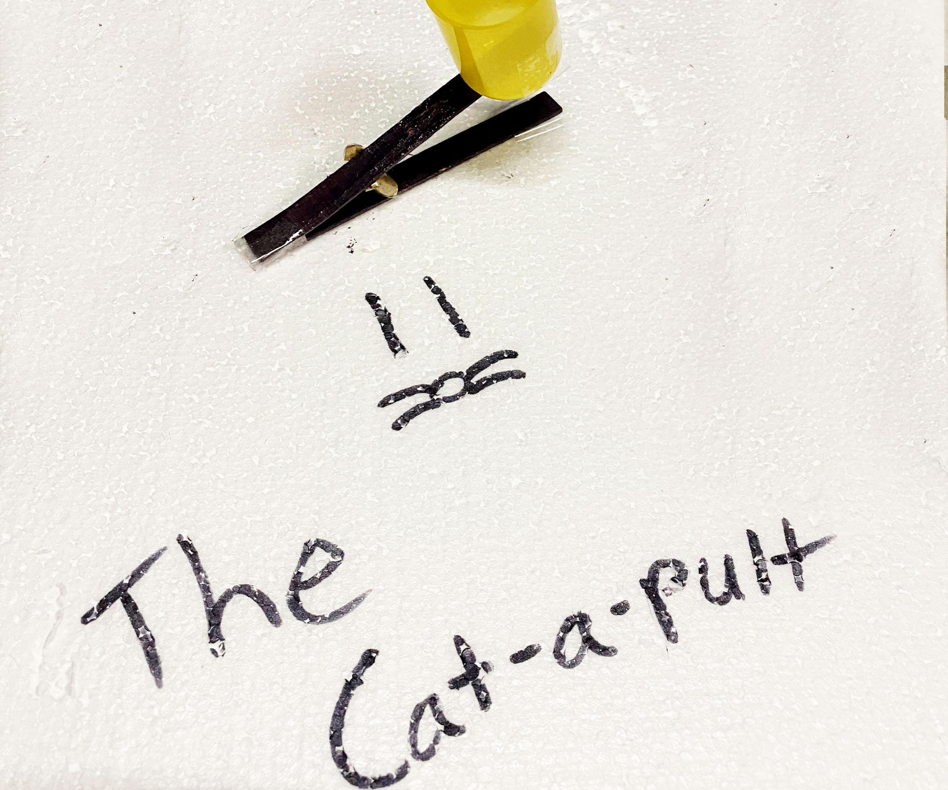 Cat-A-Pult (Easy)