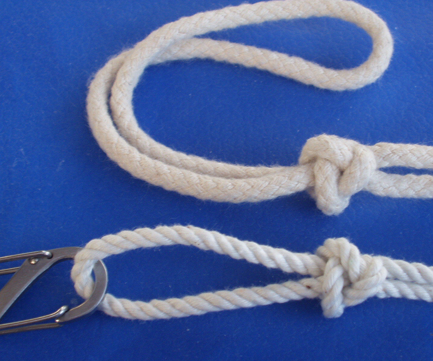Trident Loop