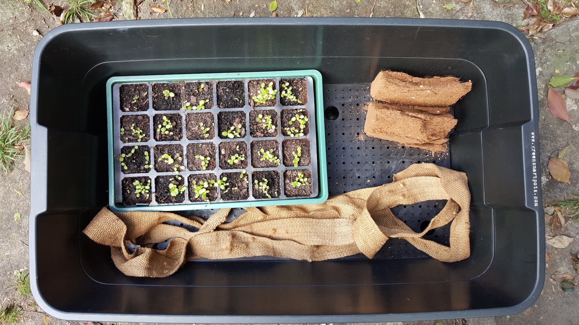 How to Set Up a Vermiponic Wicking Bed