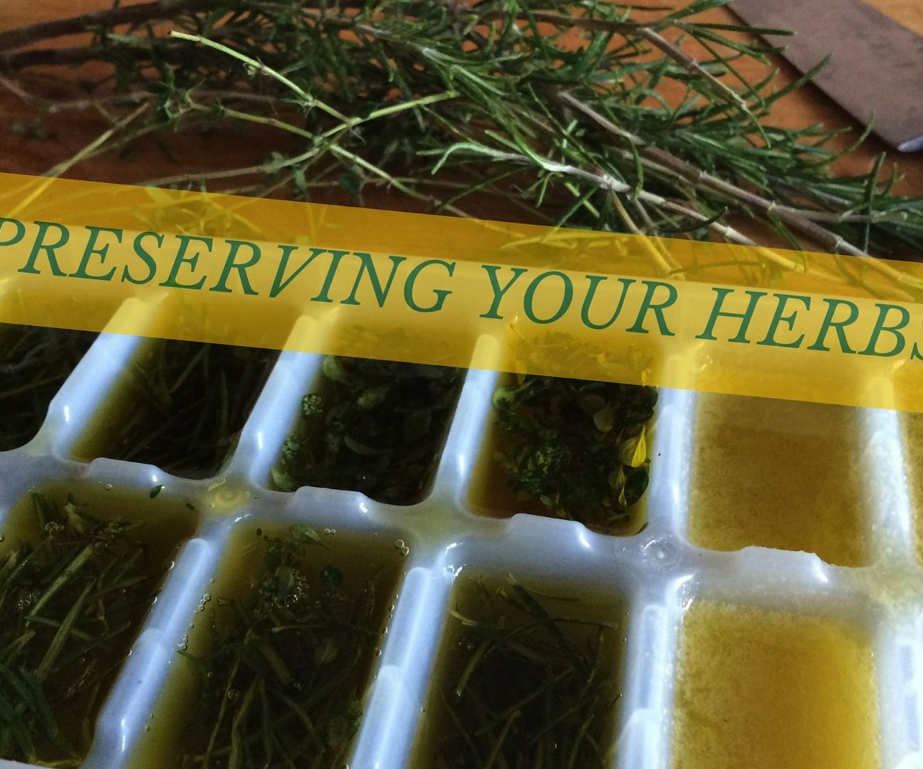 Preserving Herbs - in Olive Oil