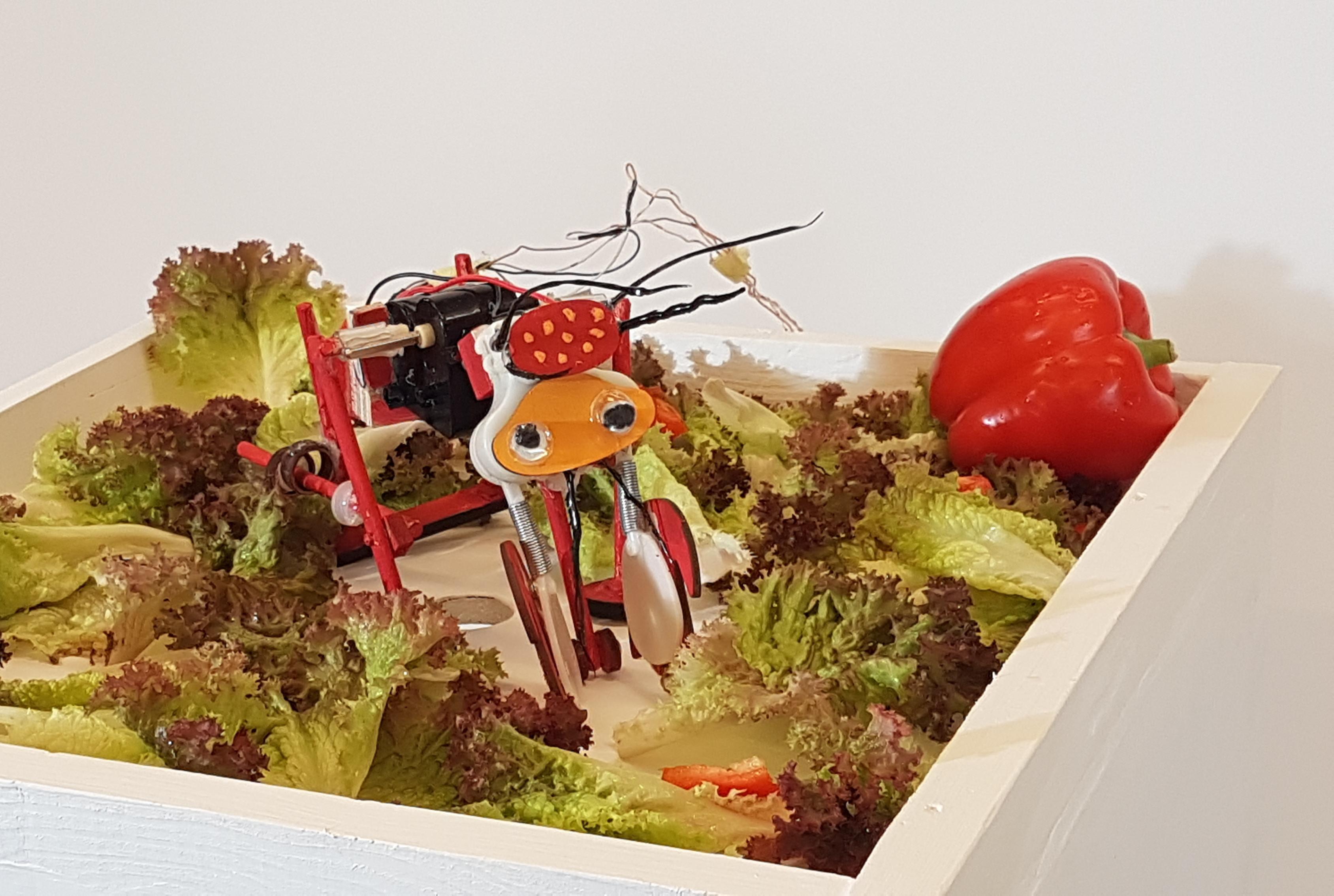 salat blender ant