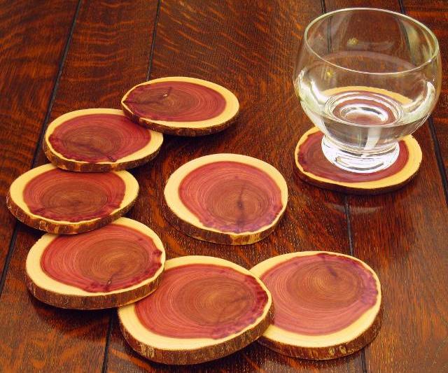 Coasters Made From a Log: Beautiful But Simple