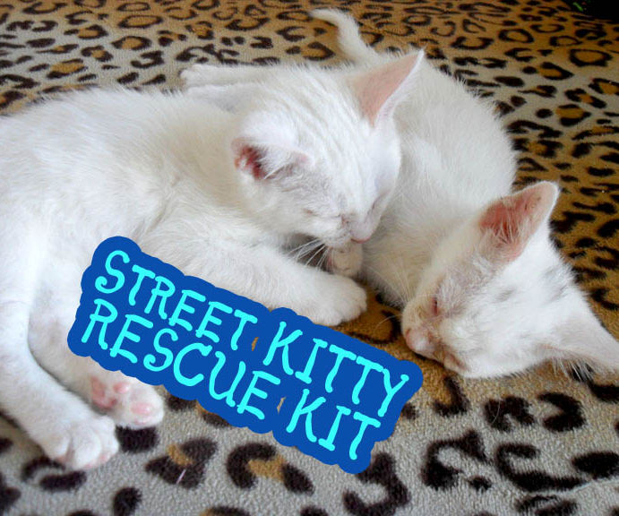 Street Kitty Rescue Kit