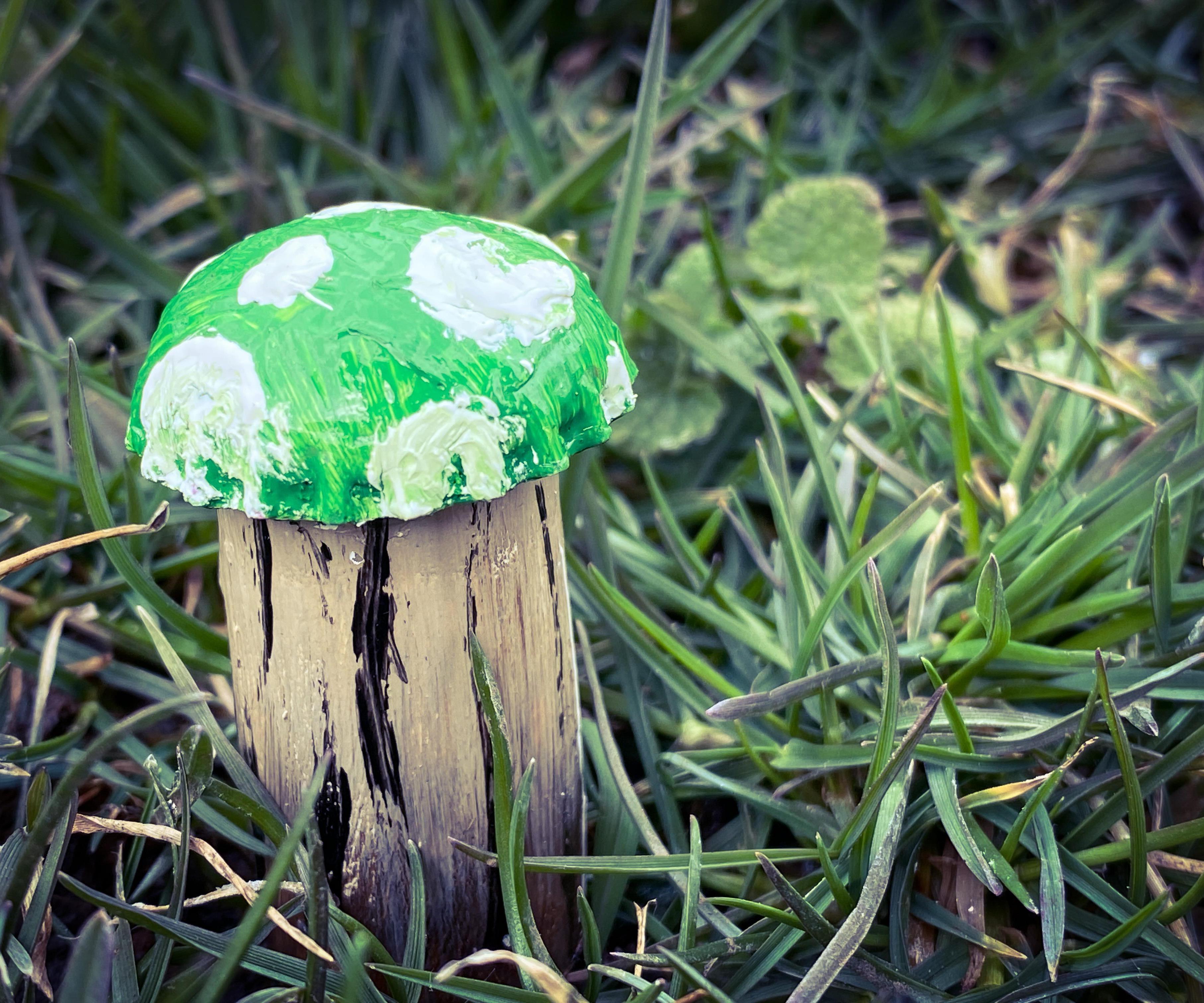 Fairy Garden Mushrooms