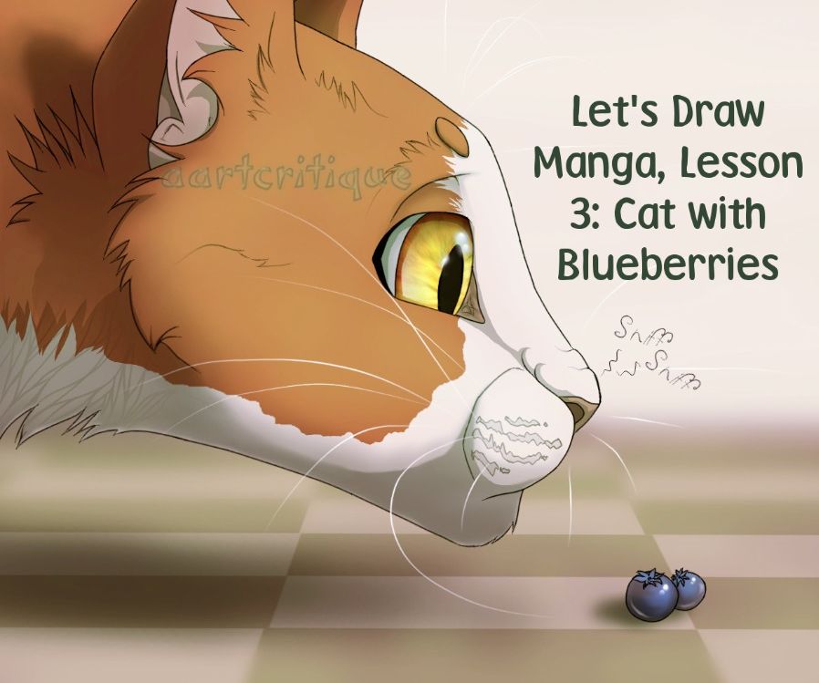 Draw a Cat With Blueberries (let's Draw Manga Lesson 3)