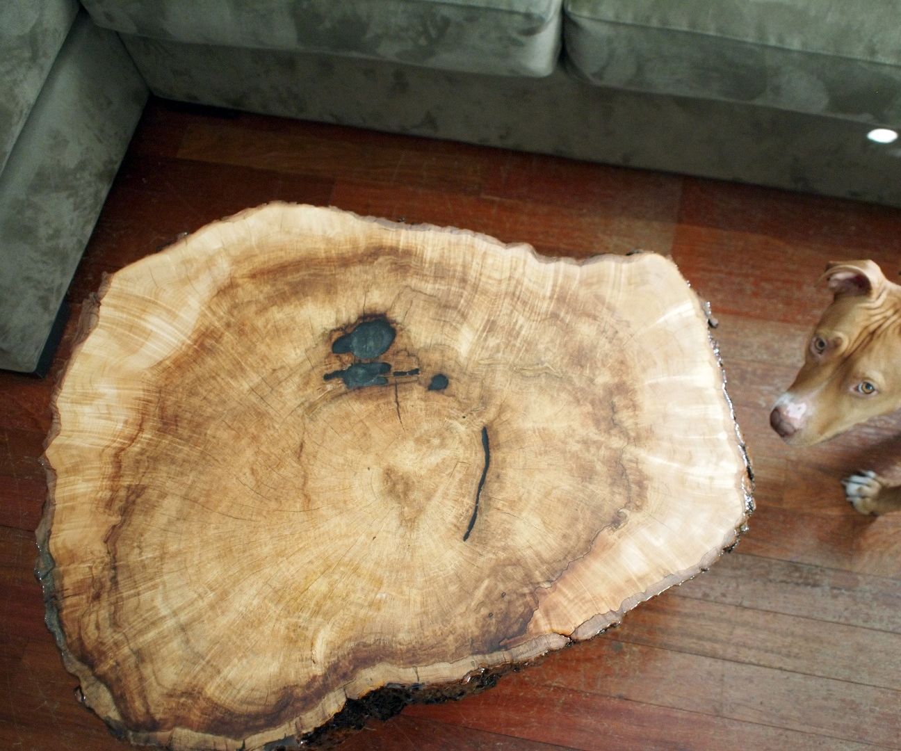 Live Edge Maple and Epoxy Table