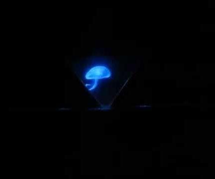 DIY Hologram