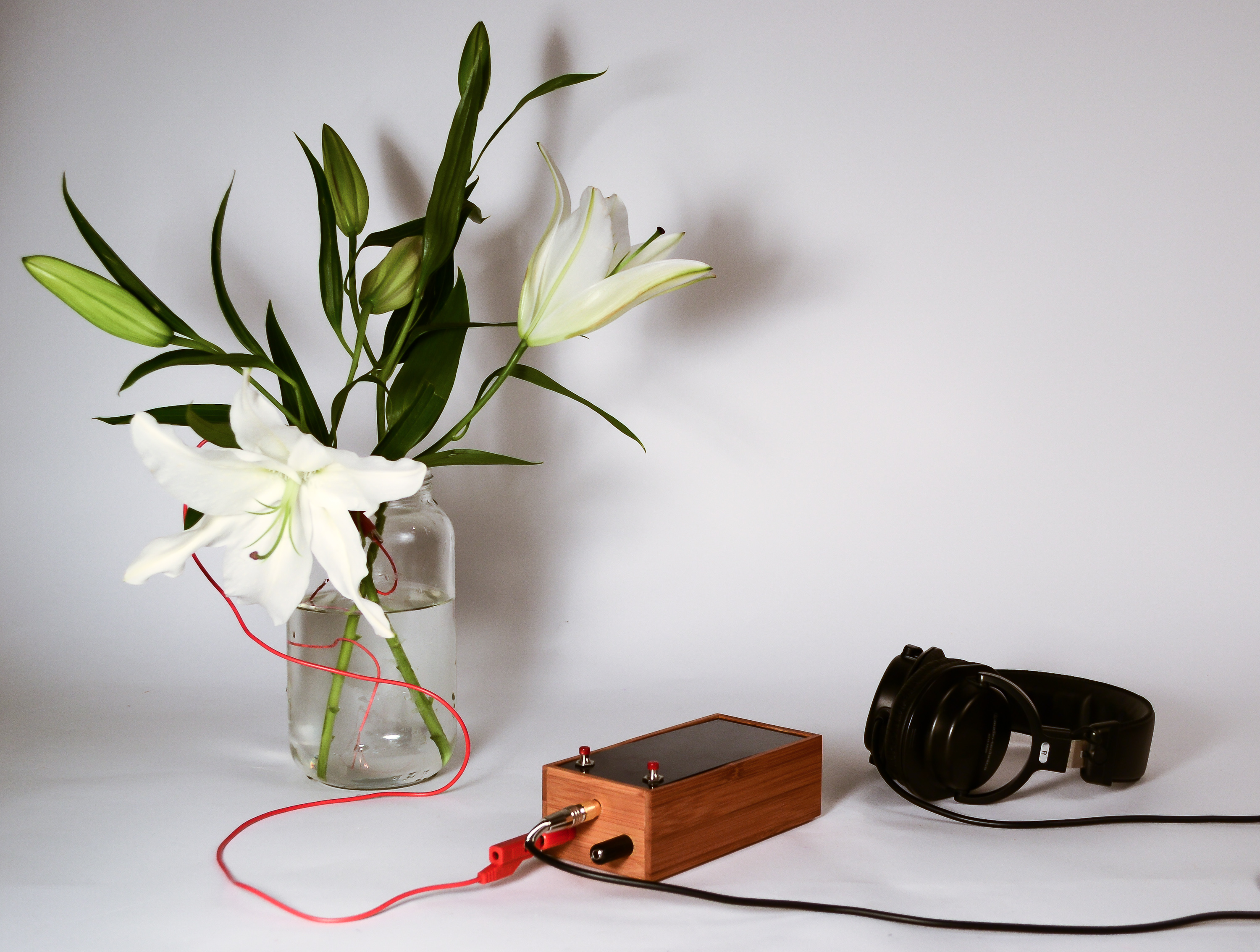 Singing Plant. Make Your Plant Sing With Arduino, Touche and a Gameduino