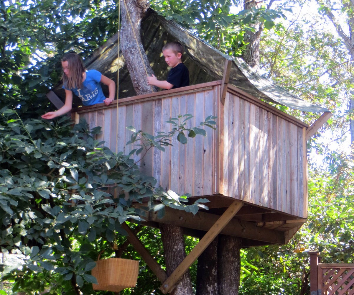 How to Build a Treehouse