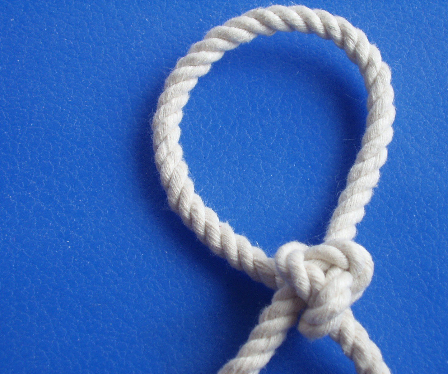 Cossack Knot