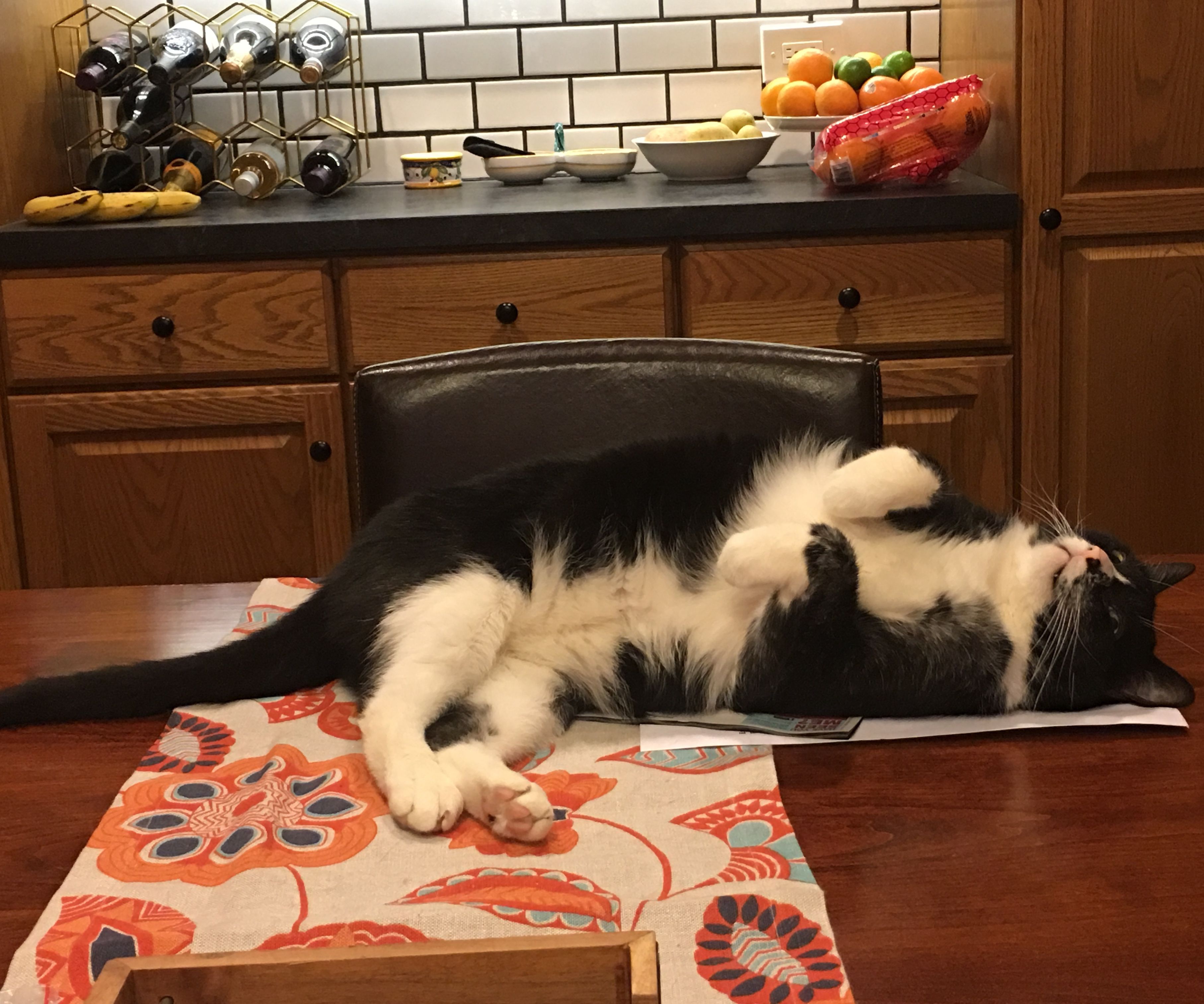 Deluxe Cat Bed