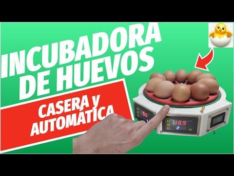 &iquest;C&oacute;mo HACER una INCUBADORA de HUEVOS? 🐣🐥 [Paso a Paso]