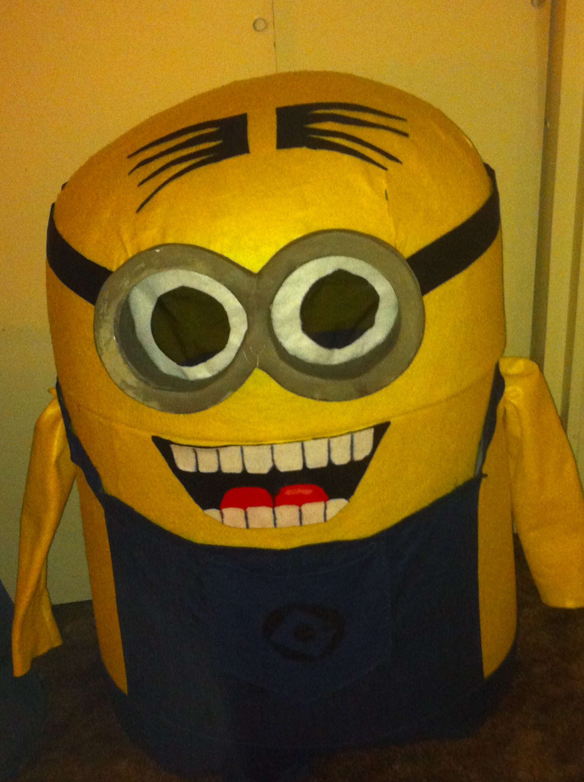 Despicable Me Minion Costume