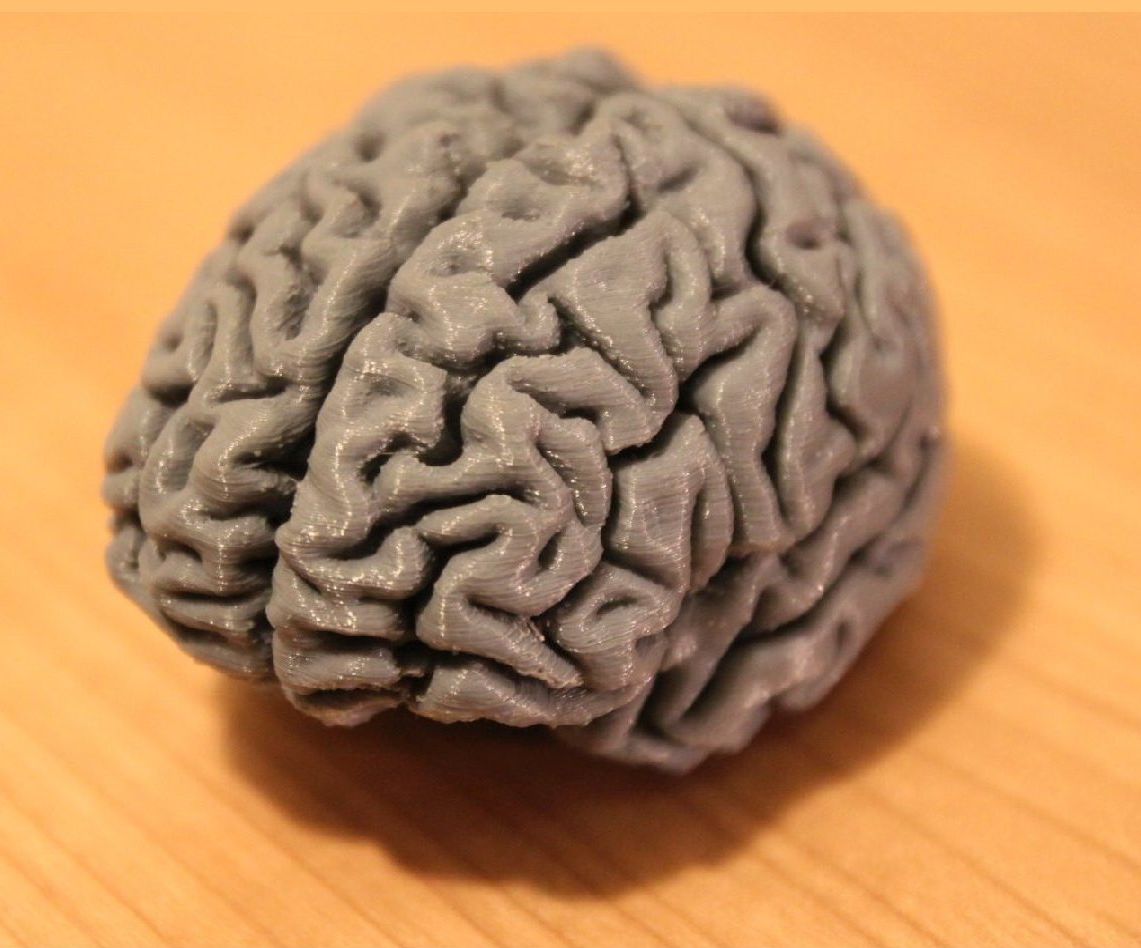 3D Print Your Own Brain