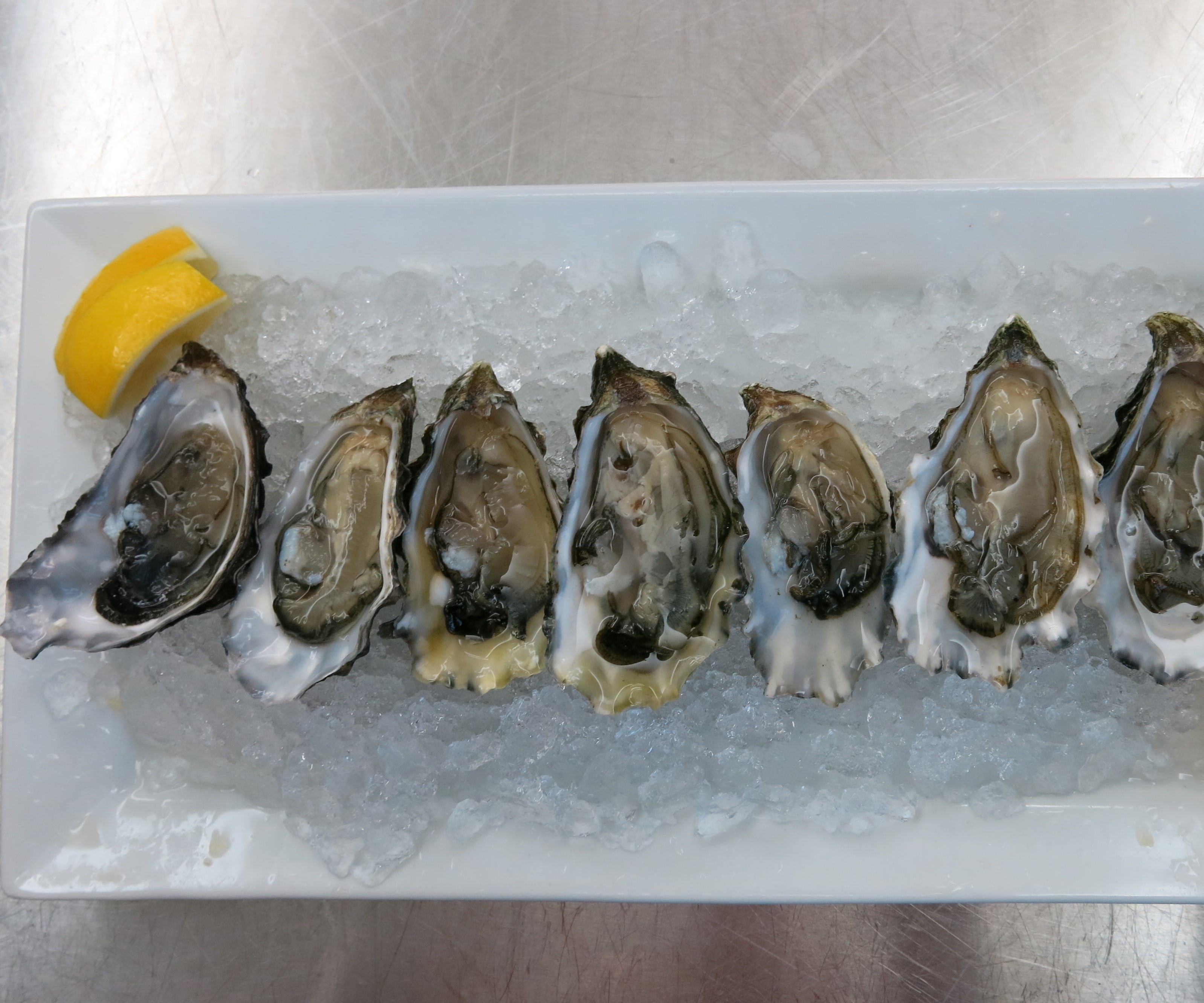 How to Open Oysters