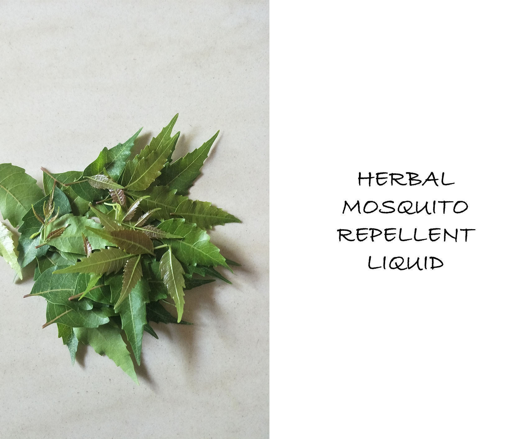 Herbal Mosquito Repellent Liquid