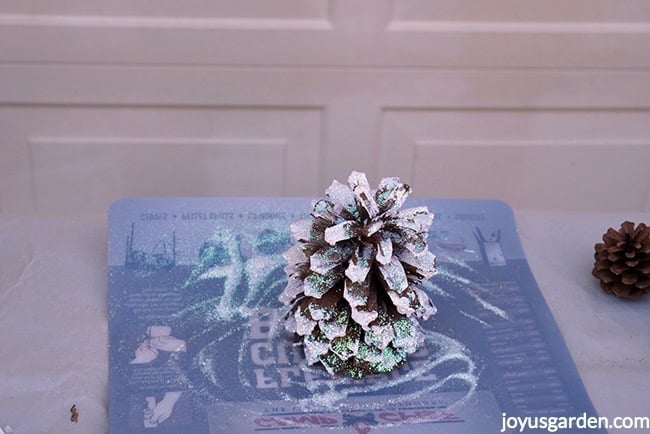 A-pine-cone-brushed-with-white-paint-sprinkled-with-glitter-sits-on-a-flexible-cutting-board_new.jpg