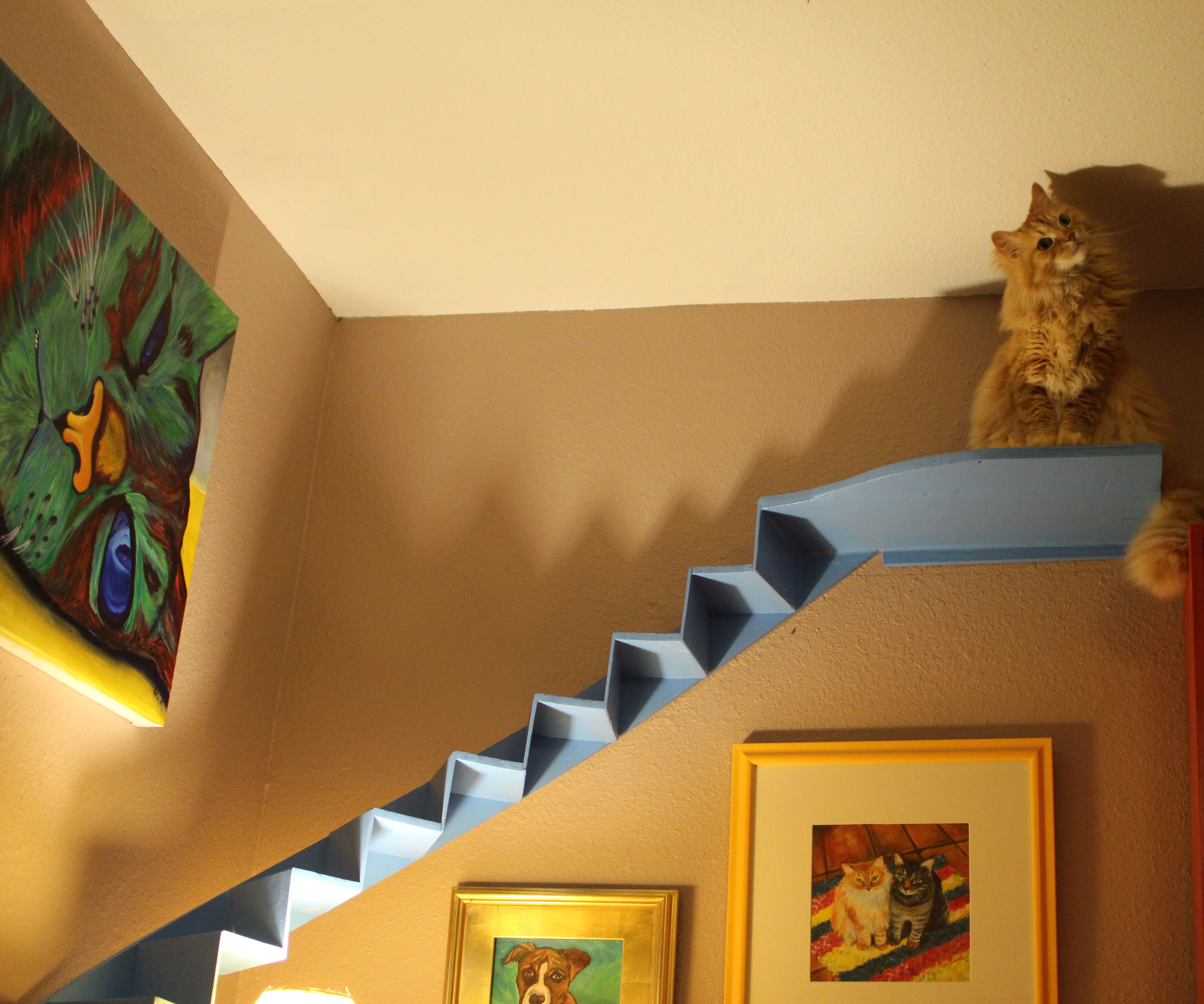 Curved Cat Stairs for Your Living Room