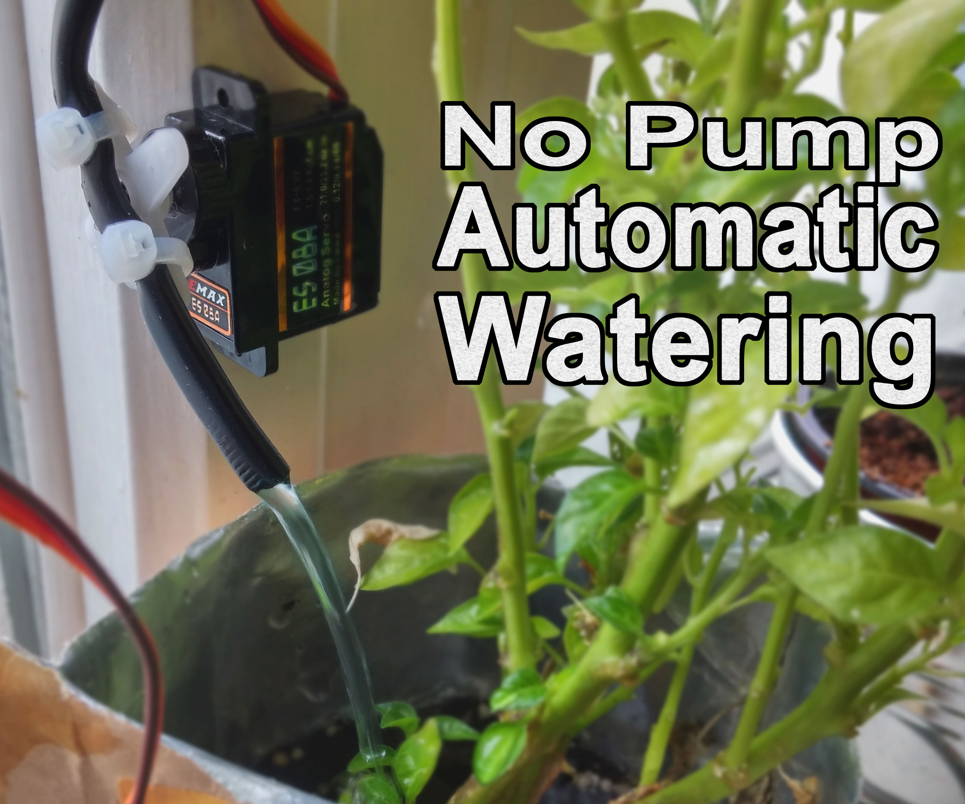 No Pump Automatic Watering!