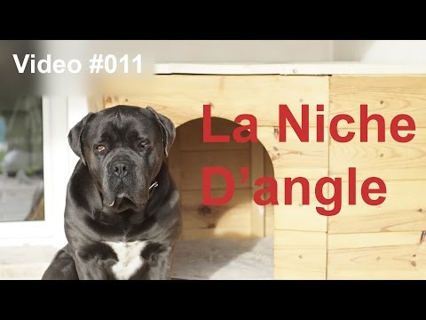 #011 - La Niche D'angle