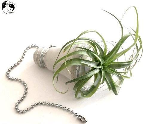 How to Make a Lightbulb Planter From Plastic Packaging!