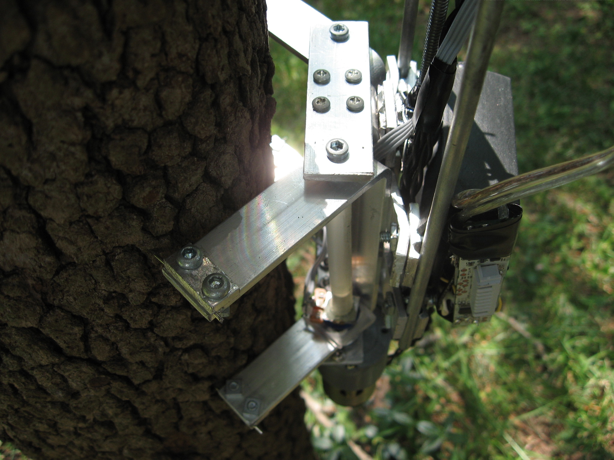 Tree Climbing Robot