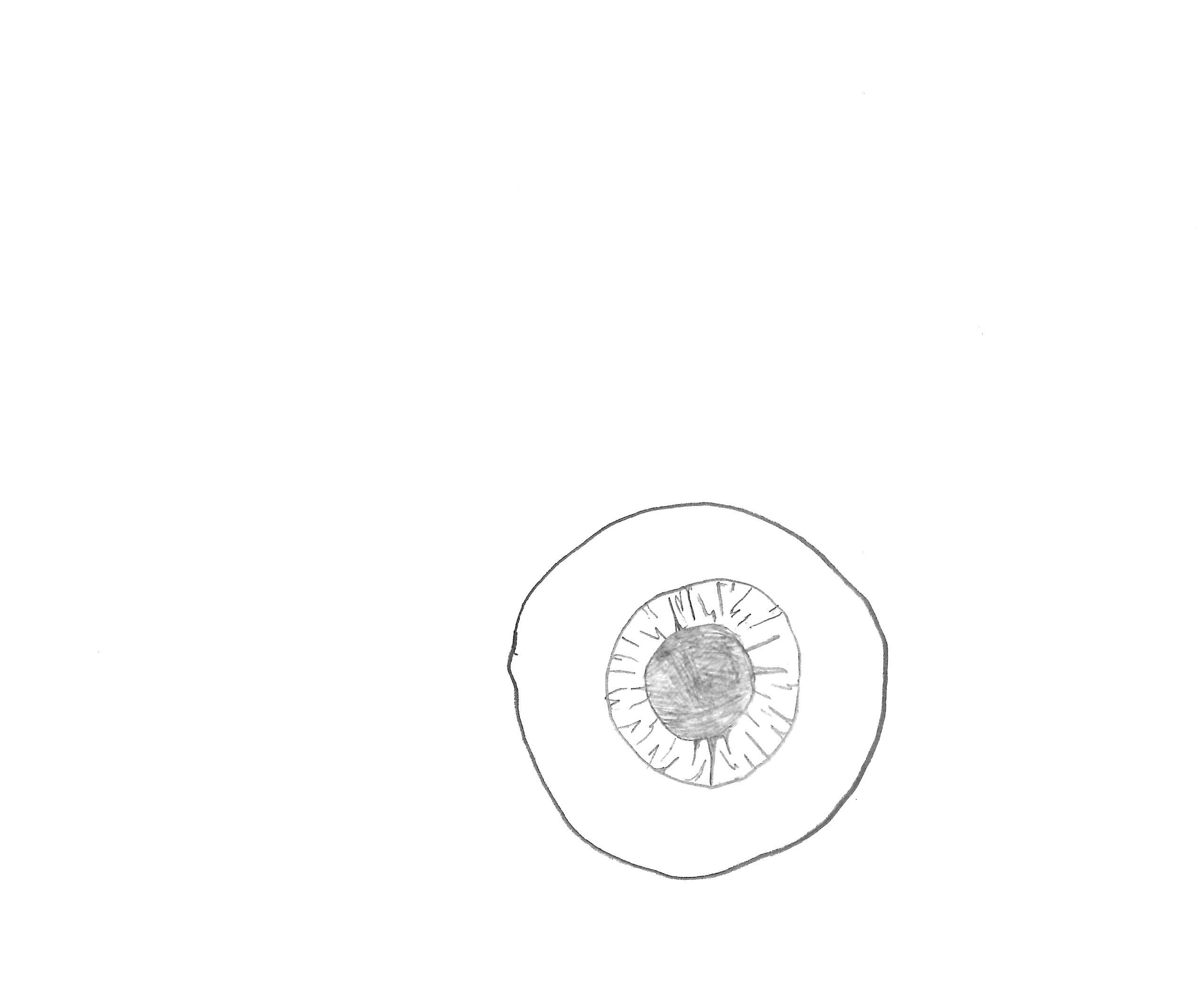 Drawing the Eyeball Basics