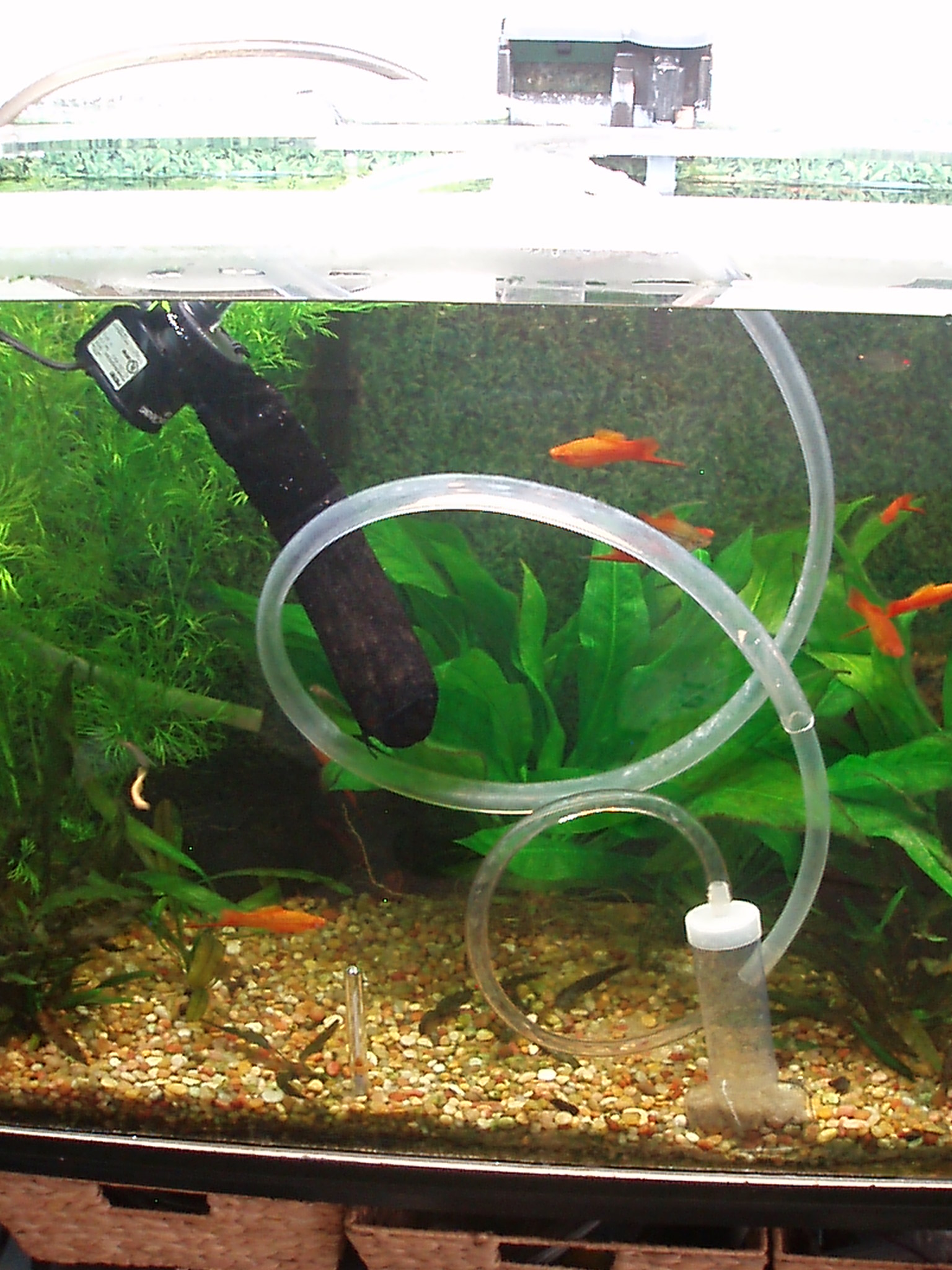 Powered Gravel Vacuum for Aquariums