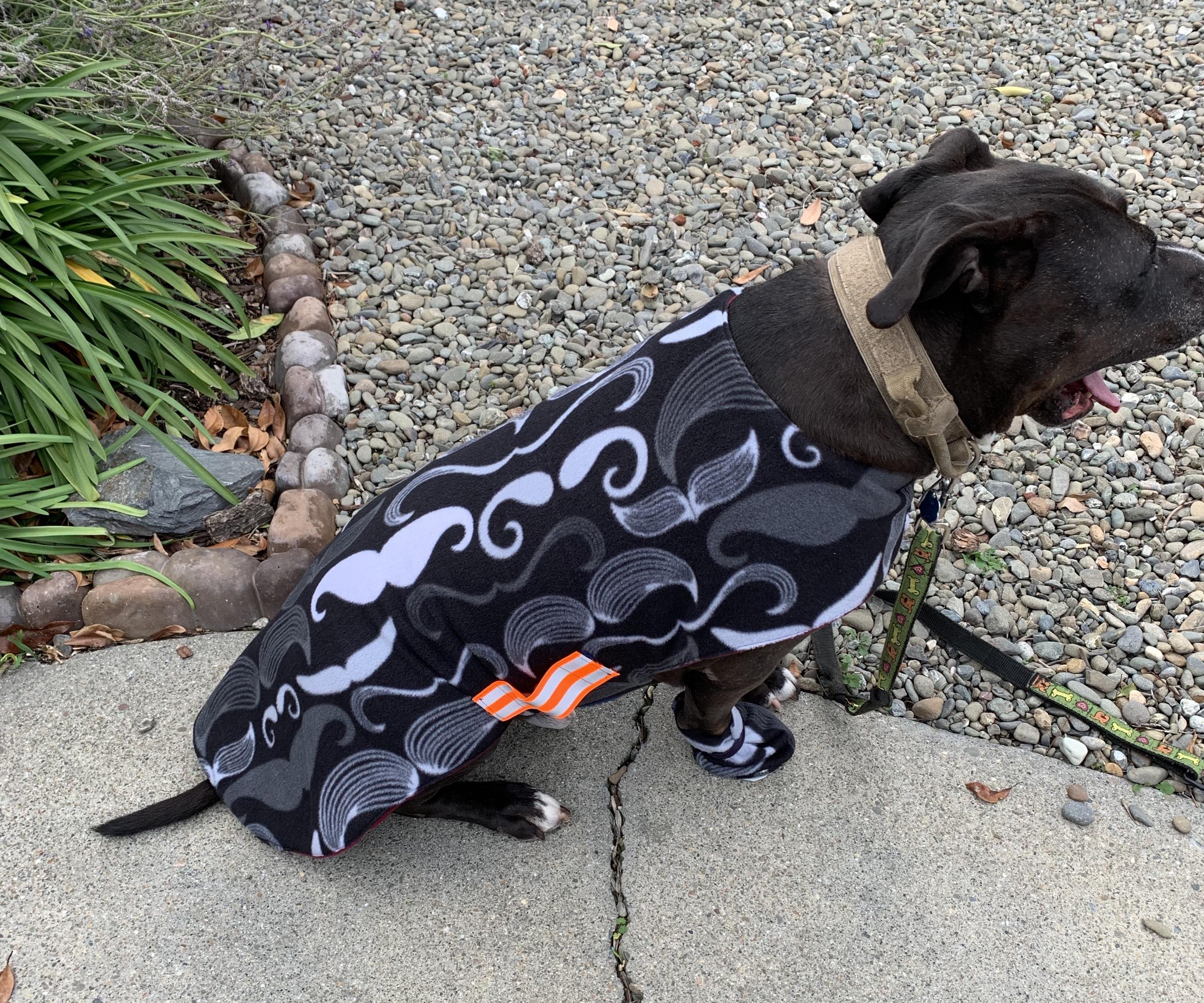  Winter Dog Coat
