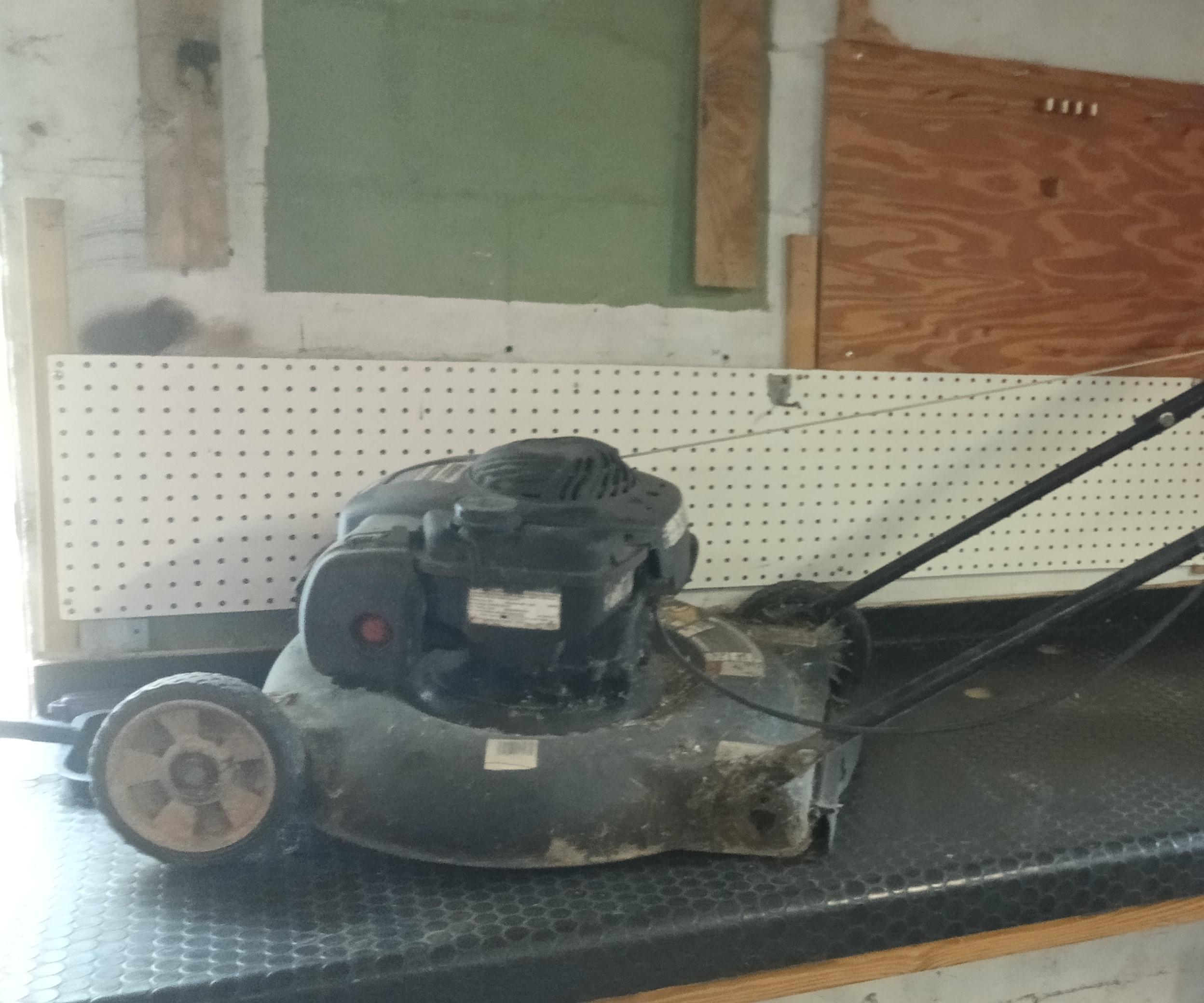 Recycled Lawn Mower Engine.