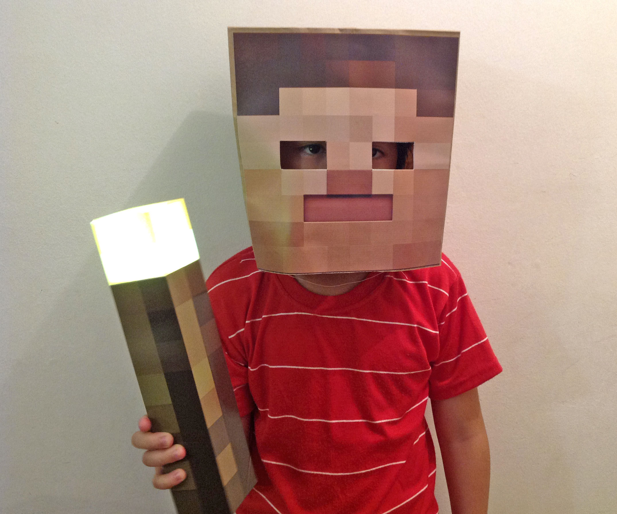 Minecraft Mask - Easy, Fast and Cheap